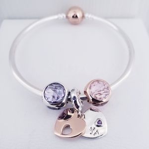 ❤️ 4pc Authentic Pandora TWO TONE LOVE BRACELET GIFT 🎁 SET